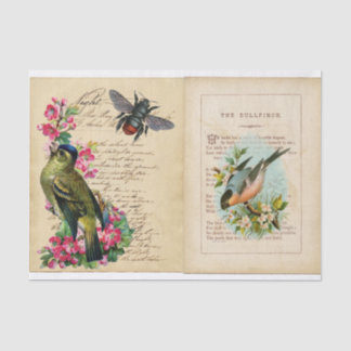 Bull Finch Ephemera Buchseiten mit Bienen und Vöge Seidenpapier