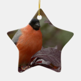 Bull Finch Keramikornament