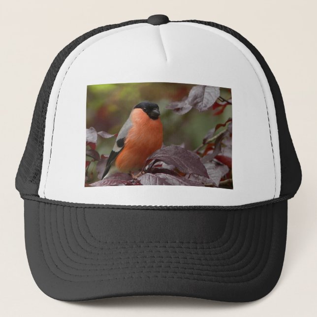 Bull Finch Truckerkappe (Vorderseite)