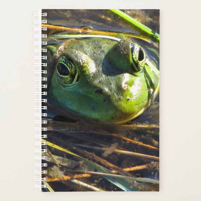 Bull Frog Planner Planer (Vorderseite)