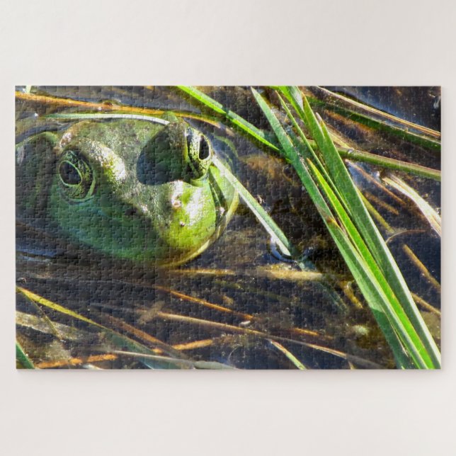 Bull Frog Puzzle (Horizontal)