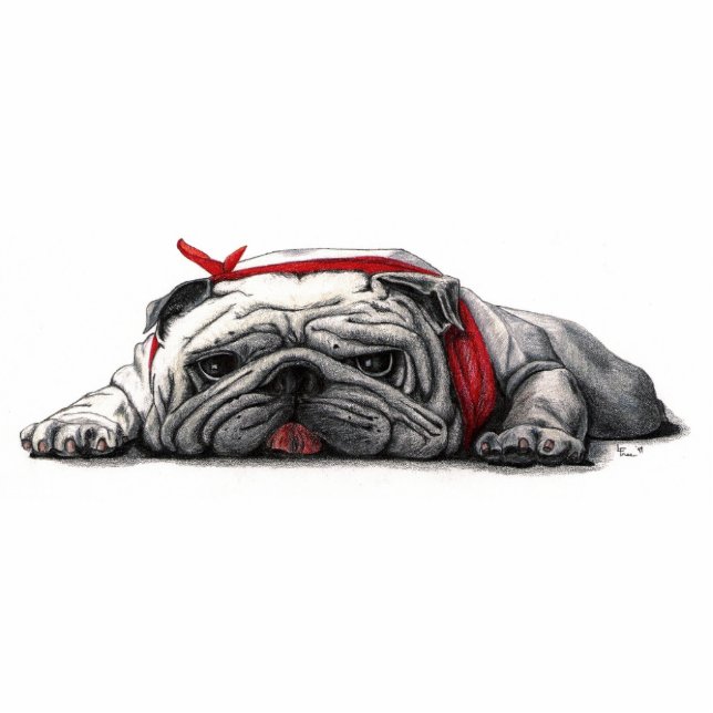 BULL-HUNDEschreibtisch-FREUND besonders Freistehende Fotoskulptur (Vorne)