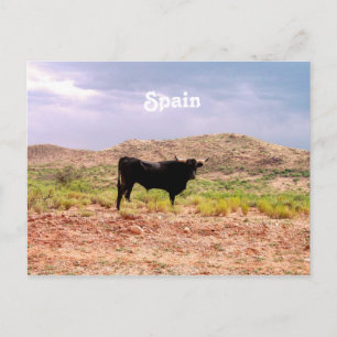 Bull in Spanien Postkarte
