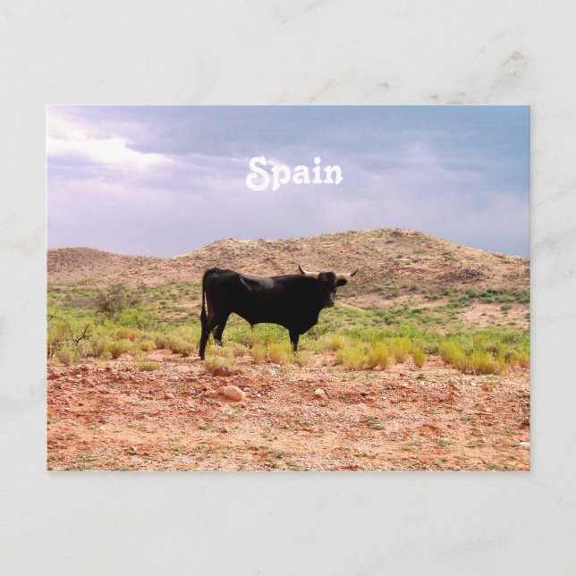 Bull in Spanien Postkarte (Vorderseite)
