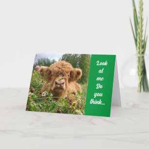 BULL IST ERNST UND SAGT "GLÜCKLICH 60. GEBURTSTAG" KARTE