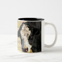 Bull Look