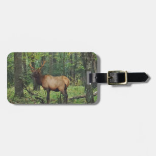 Bull-Männchen-Feld im Herbst Gepäckanhänger