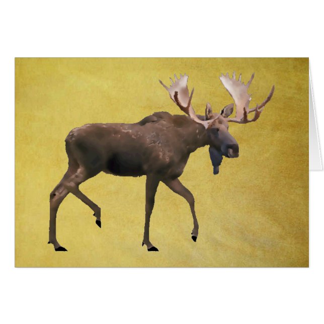 Bull Moose (Vorderseite (Horizontal))