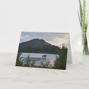 Bull Moose am Sprague Lake, Colorado, Dawn Card Karte