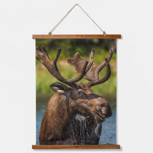 Bull Moose   Glacier Nationalpark Montana Wandteppich Mit Holzrahmen