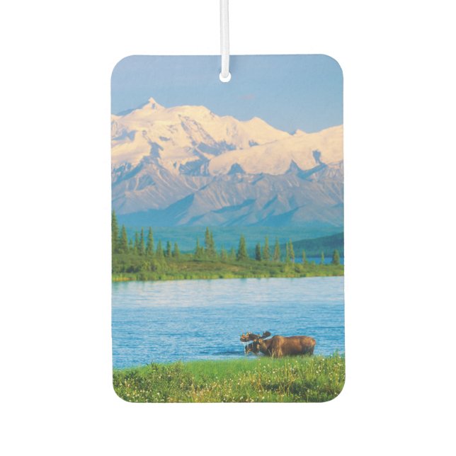 Bull moose in Wonder Lake Autolufterfrischer (Vorderseite)