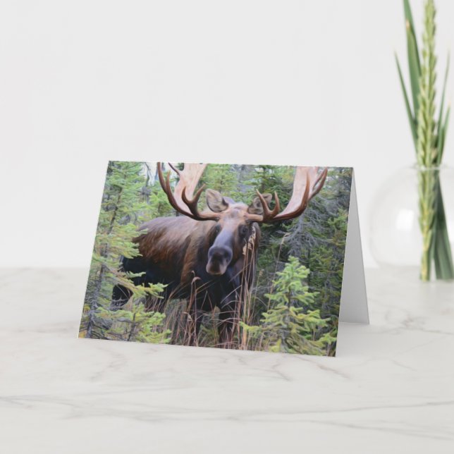 Bull Moose Karte (Vorderseite)