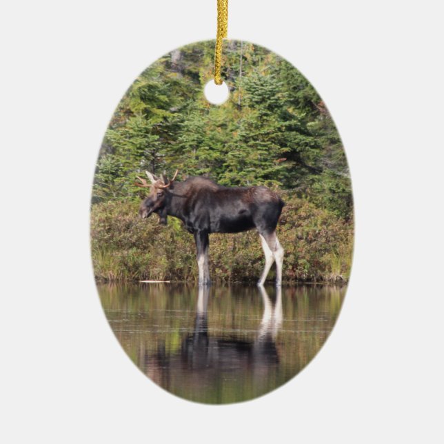 Bull Moose Keramikornament (Vorne)