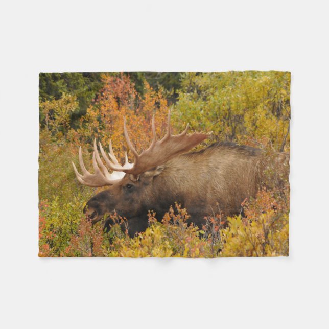 Bull Moose | Nationalpark Denali, Alaska Fleecedecke (Vorderseite (Horizontal))