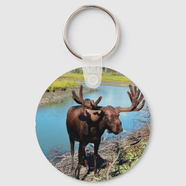 Bull Moose Schlüsselanhänger (Vorderseite)