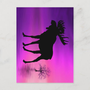 Bull Moose-Silhouette Postkarte