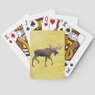 Bull Moose Spielkarten