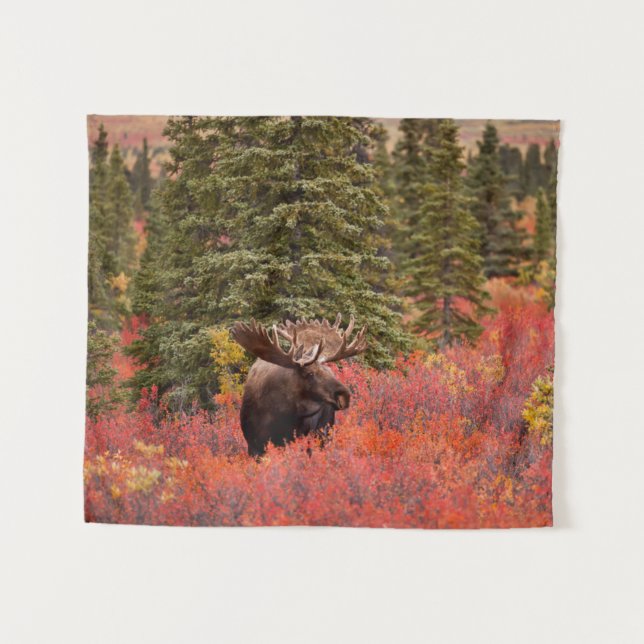 Bull Moose Stehend Wandteppich (Vorderseite (Horizontal))