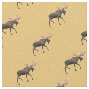 Bull Moose Stoff