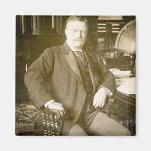 Bull Moose Teddy Roosevelt Vintage Magnet