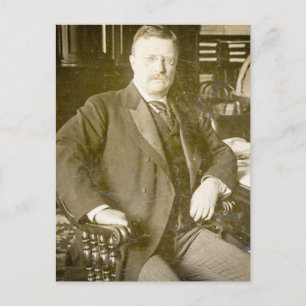 Bull Moose Teddy Roosevelt Vintage Postkarte