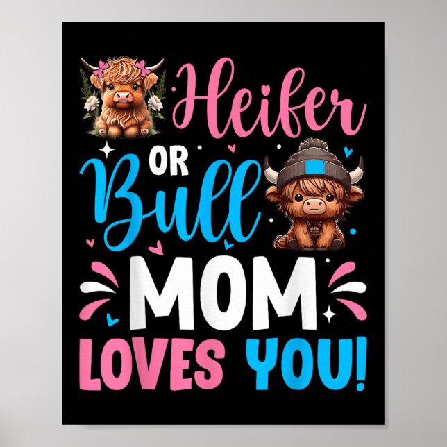 Bull- oder Heifer-Gender-Aufdeckung der Hochlandku Poster (Vorne)