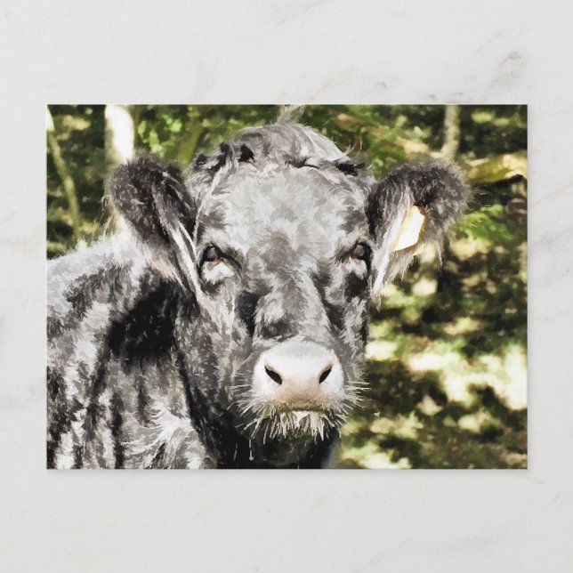 BULL POSTKARTE (Vorderseite)