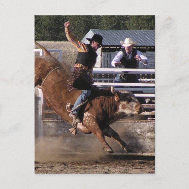 Bull Rider Extreme Postkarte (Vorderseite)