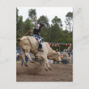 BULL RIDING BERT POSTKARTE