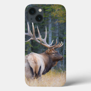 Bull Rocky Mountain Elk Case-Mate iPhone Hülle
