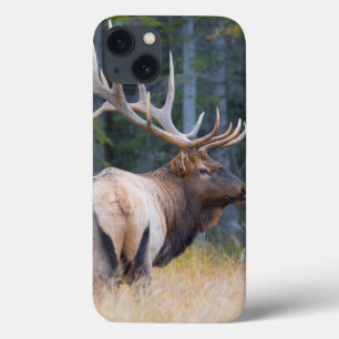 Bull Rocky Mountain Elk Case-Mate iPhone Hülle