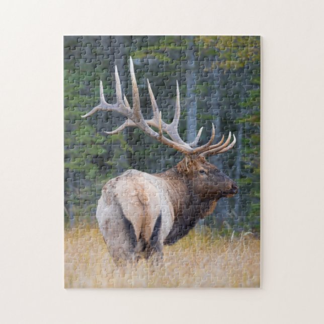 Bull Rocky Mountain Elk Puzzle (Vertikal)