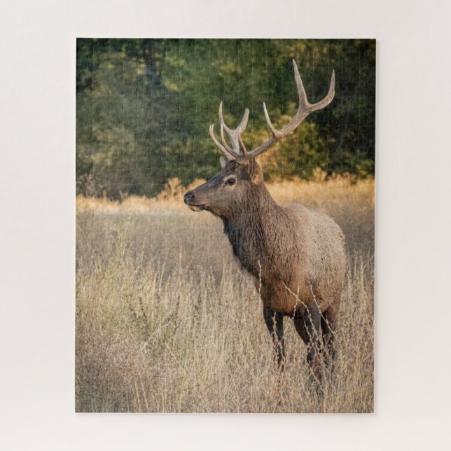 Bull Roosevelt Elk im Gras | Washingtoner Staat Puzzle (Vertikal)