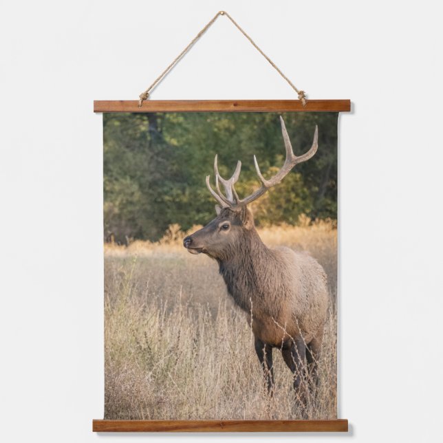 Bull Roosevelt Elk im Gras | Washingtoner Staat Wandteppich Mit Holzrahmen (Vorderseite)