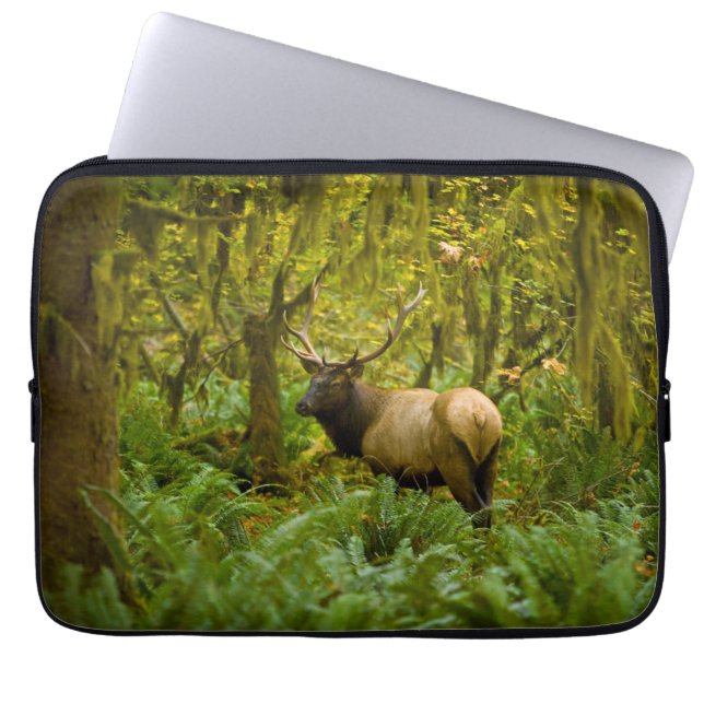 Bull Roosevelt Elk Laptopschutzhülle (Vorderseite)