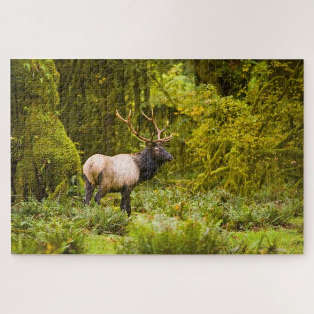 Bull Roosevelt Elk Stehend auf Wiese Puzzle (Horizontal)