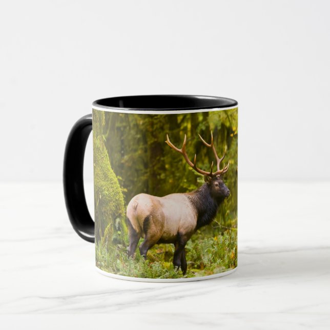 Bull Roosevelt Elk Stehend auf Wiese Tasse (Vorderseite Links)