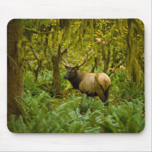 Bull-Rothirsch Mousepad