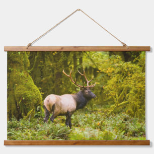 Bull-Rothirsch steht auf einer Wiese Wandteppich Mit Holzrahmen