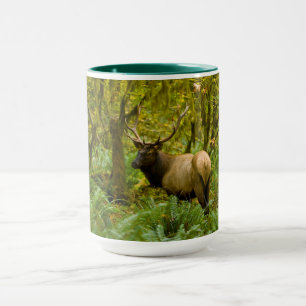 Bull-Rothirsch Tasse