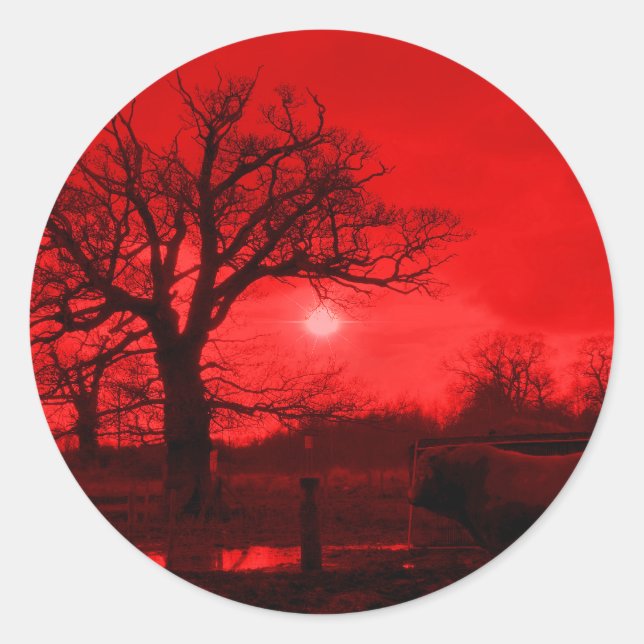 BULL RUNDER AUFKLEBER (Vorderseite)