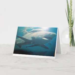 Bull Shark Grußkarte Karte
