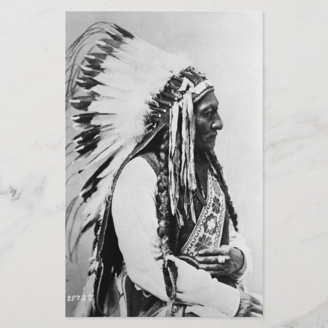Bull sitzend, ein Hunkpapa-Sioux (Vorderseite)