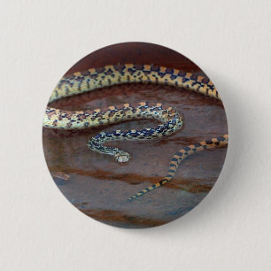 Bull Snake Button
