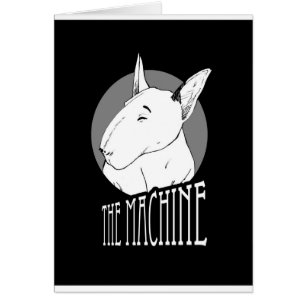 bull terrier