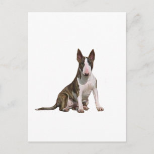 Bull Terrier (B) - Gefleckt und weiß Postkarte