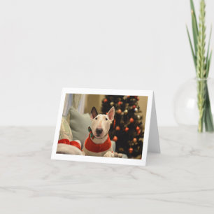 Bull Terrier Bow Krawatte Weihnachtsbaum-Faltkarte Karte