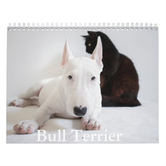 Bull Terrier Dog Calendar Kalender (Titelbild)