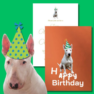 Bull Terrier Dog Geburtstagsparty Einladung