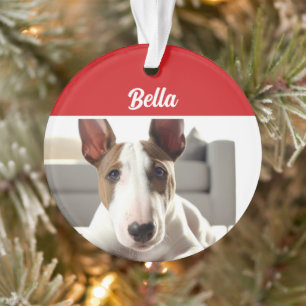 Bull Terrier Dog Holiday Foto Weihnachten Ornament